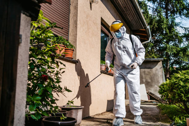 Best Pest Control for Homes  in New Beaver, PA