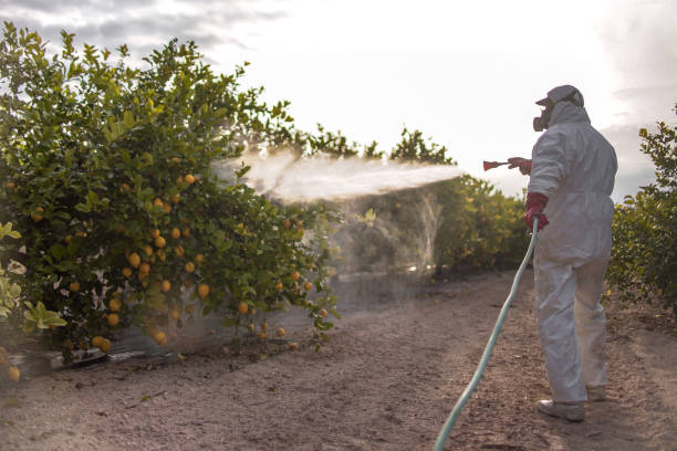 Best Pest Control Near Me  in New Beaver, PA