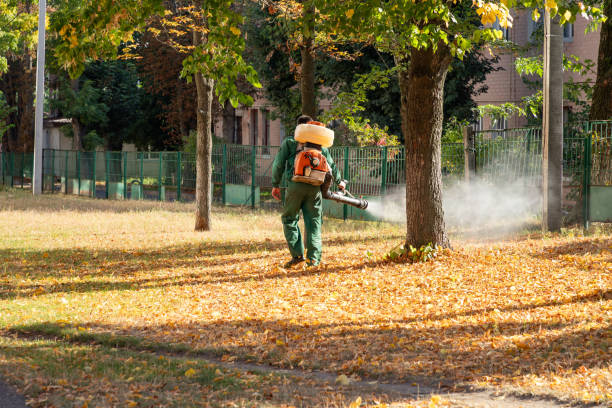 Trusted New Beaver, PA Pest Control Experts