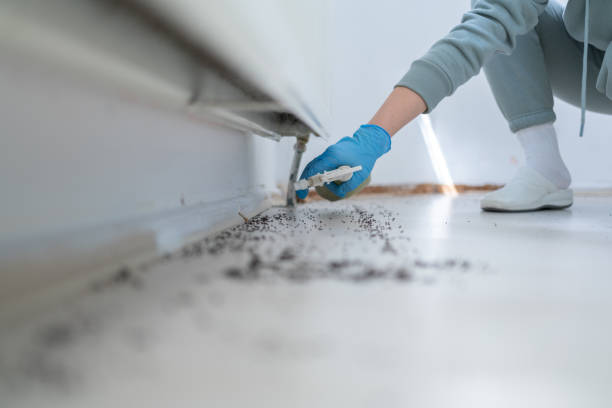 Best Emergency Pest Control  in New Beaver, PA